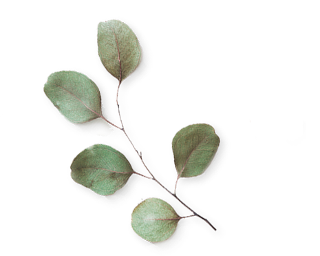 Wedding Planning Services in Bhubaneswar