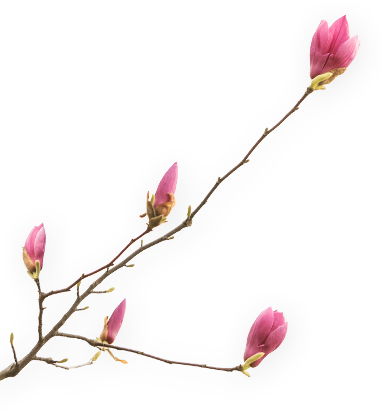 Wedding planner in Bhubaneswar