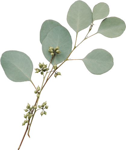 Professional Wedding Planning Services in Bhubaneswar